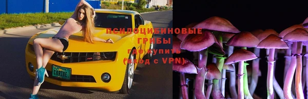 Альфа ПВП Балабаново