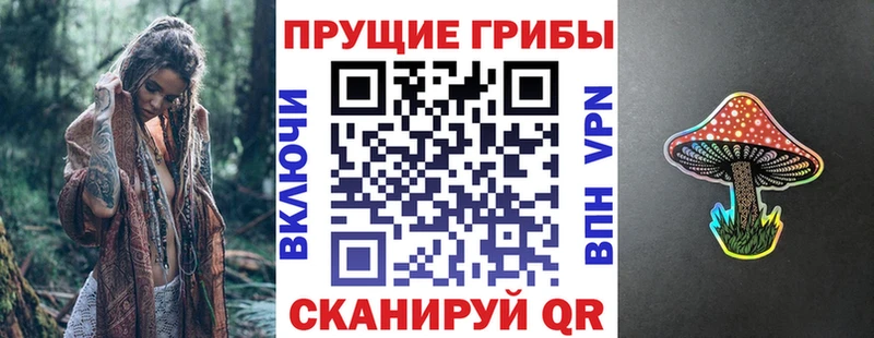 Псилоцибиновые грибы Psilocybine cubensis  МЕГА tor  Новое Девяткино 